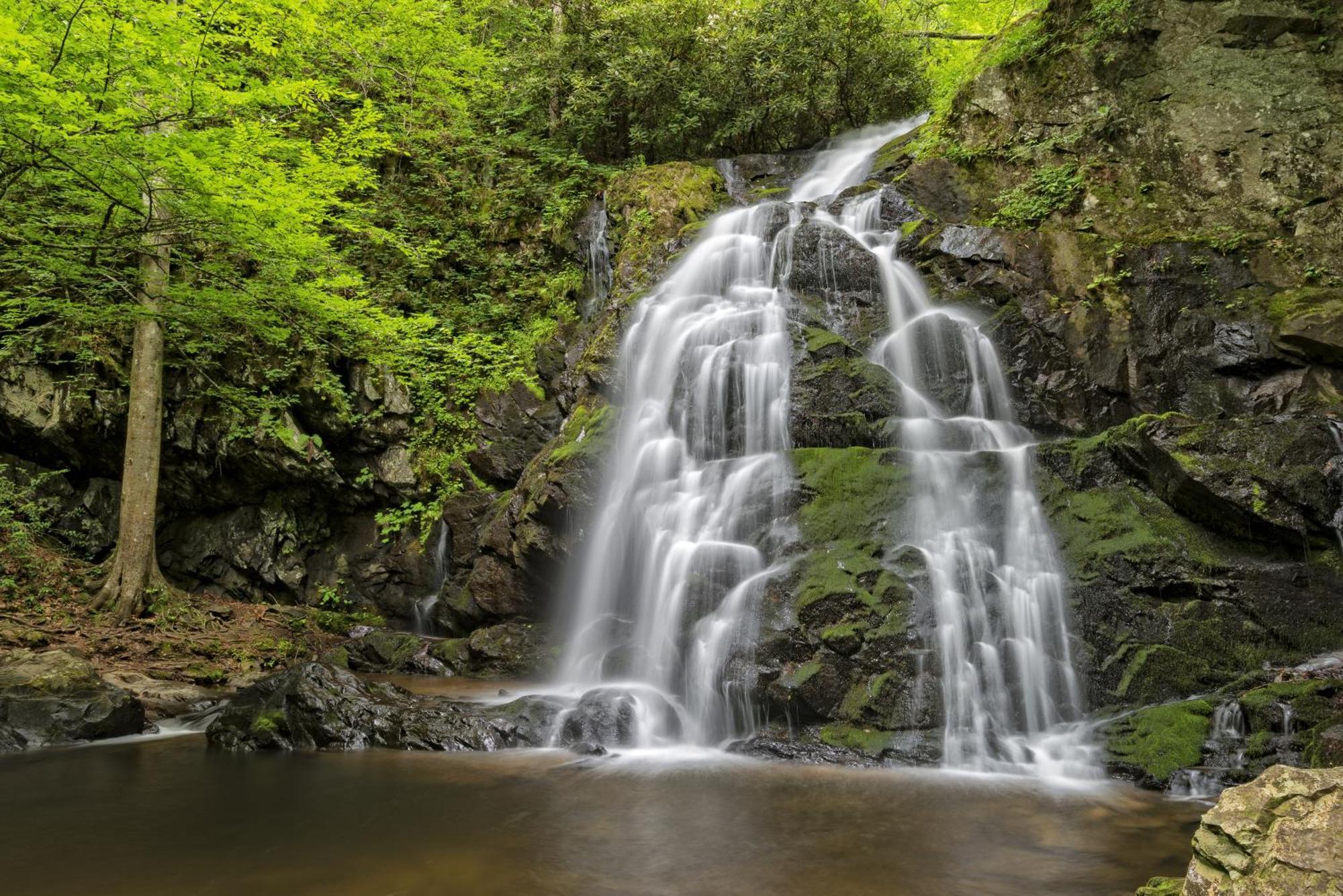 Magical Moments, Hot Tub, Wifi, 1089 Free Tickets Each Paid Day, Dollywood And More ガトリンバーグ エクステリア 写真